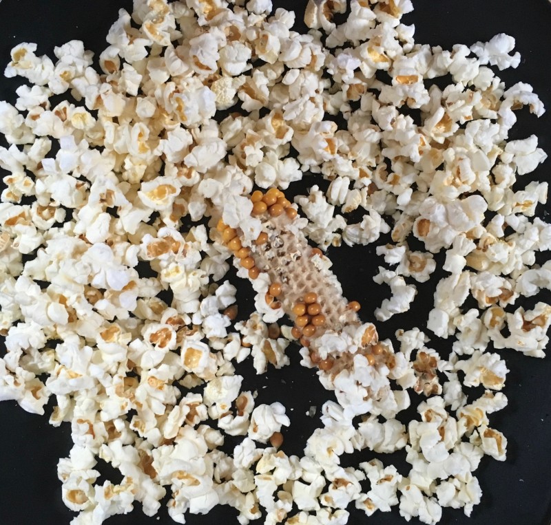 popcorn-on-cob-after